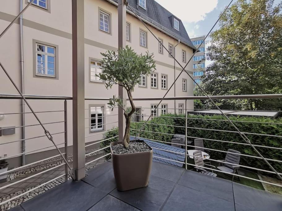 Ferienwohnung Im Bruehl Erfurt Dış mekan fotoğraf