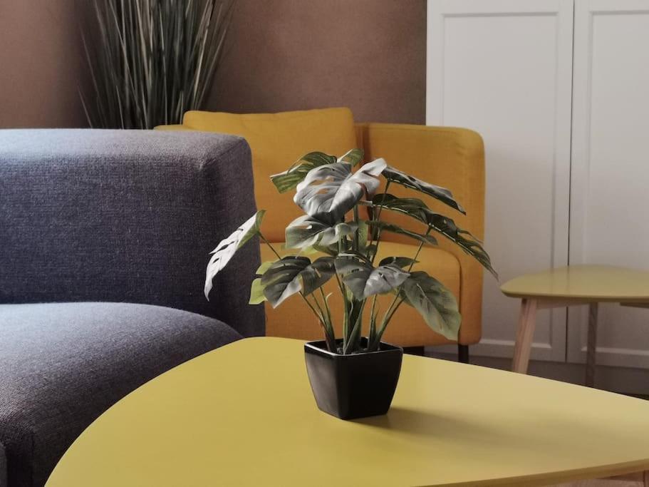 Ferienwohnung Im Bruehl Erfurt Dış mekan fotoğraf
